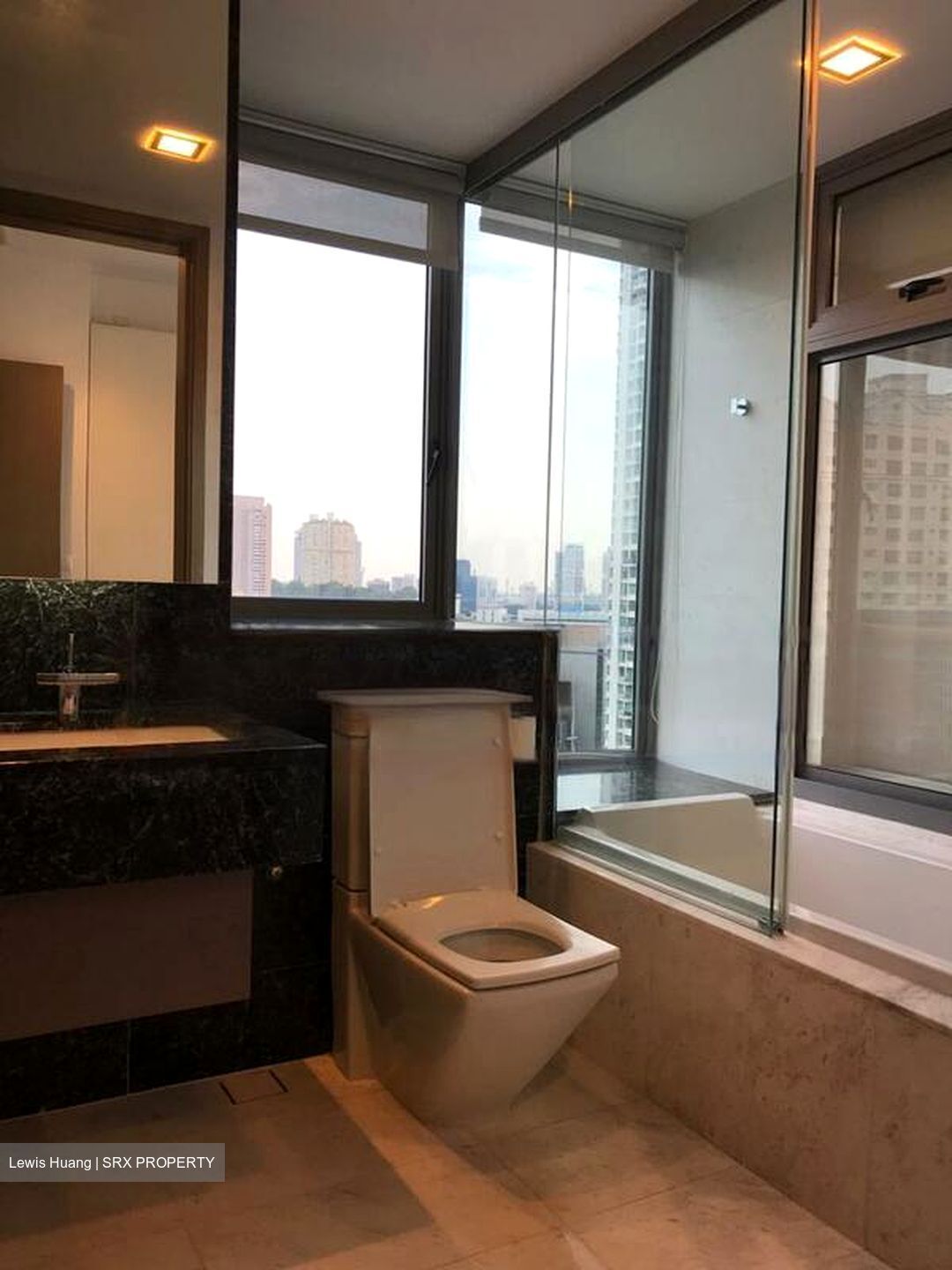 Starlight Suites (D9), Apartment #461072261